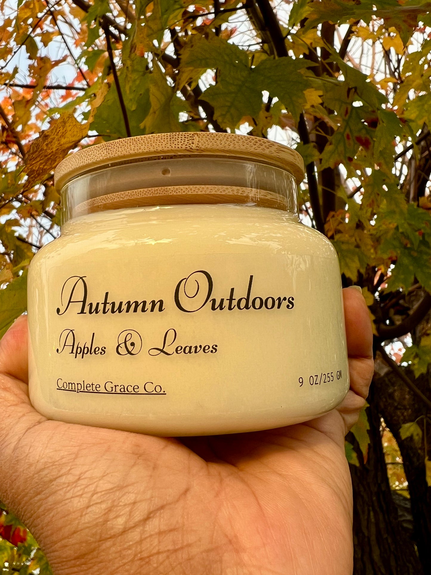 Autumn Outdoors